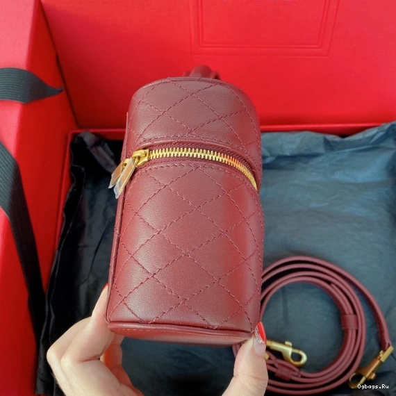 Gaby lambskin vanity in YSL bag 0721